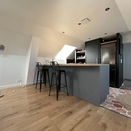 Διαμέρισμα Sur Les Toits De - Hypercentre Φονταινεμπλώ